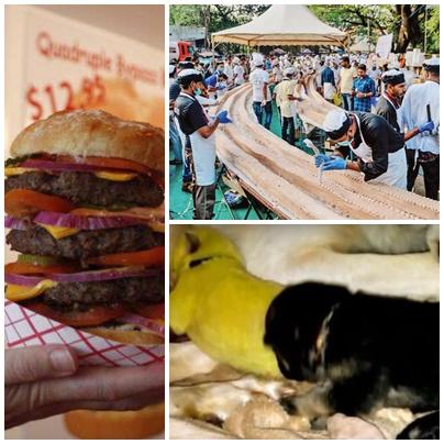 Faze tari, Foto: Colaj foto