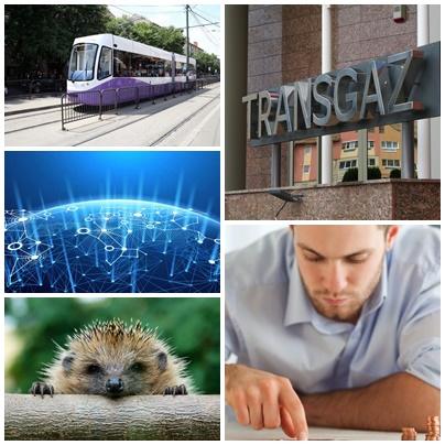 Business, Foto: Colaj foto