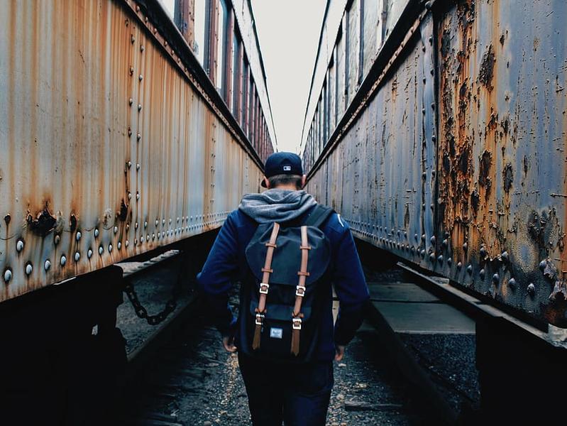 Tanar, Foto: pxfuel.com