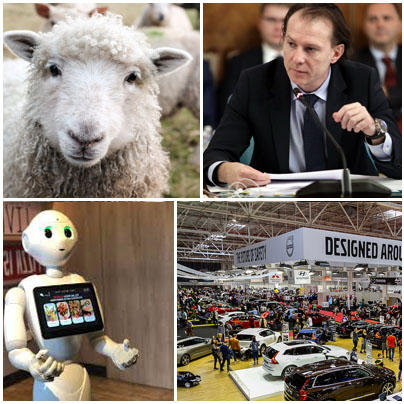 Business report, Foto: Hotnews