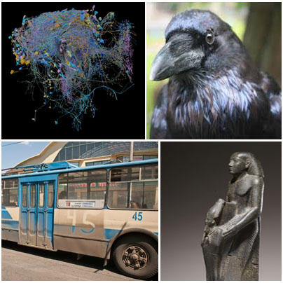 Faze tari, Foto: Hotnews