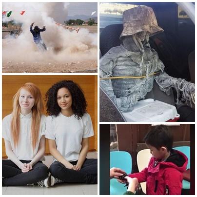 Faze tari, Foto: Colaj foto