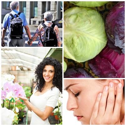 Utile, Foto: Colaj foto