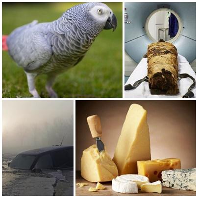 Faze tari, Foto: Colaj foto