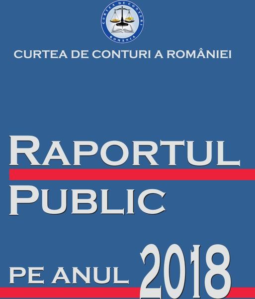 Raport Curtea de Conturi - 2018, Foto: Captura de ecran