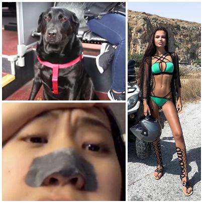 Faze tari, Foto: Colaj foto