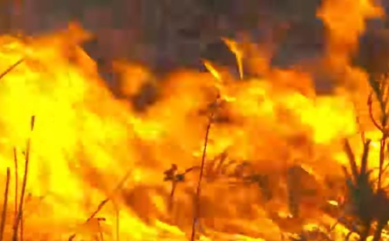 Incendiu, Foto: Captura video