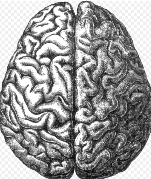 Miracolul care ne face oameni, Foto: Wikipedia