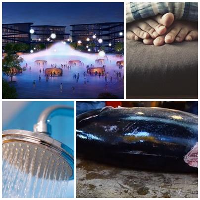 Faze tari, Foto: Colaj foto