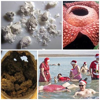 Faze tari, Foto: Colaj foto