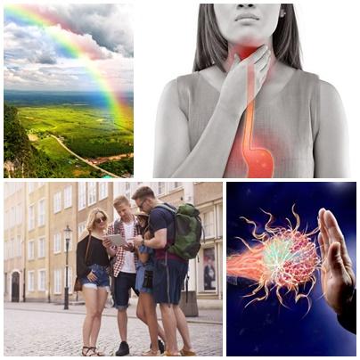 Utile, Foto: Colaj foto