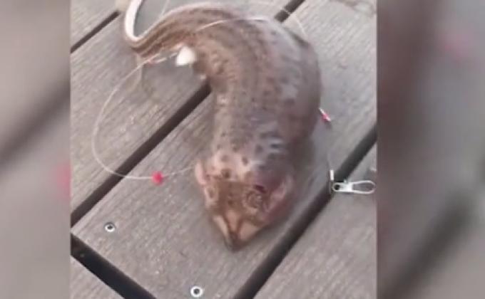 stirile protv, Foto: Hotnews