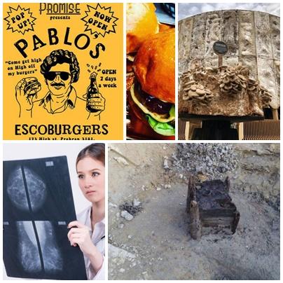 Faze tari, Foto: Colaj foto