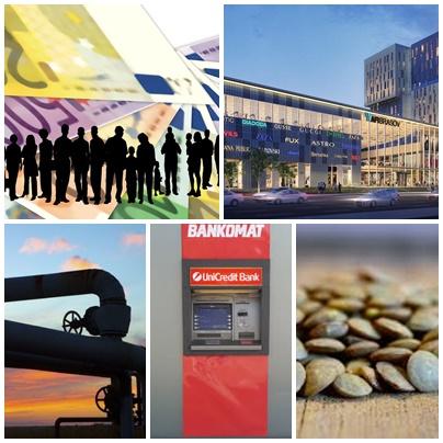 Business report, Foto: Colaj foto