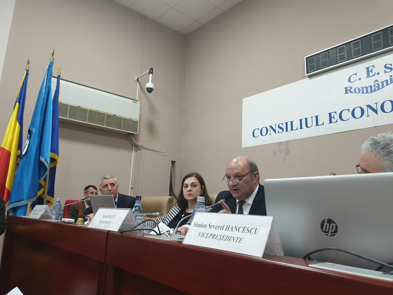 Sedinta CES, Foto: Hotnews