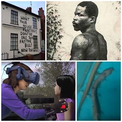 Faze tari, Foto: Colaj foto