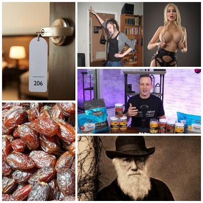 Faze tari, Foto: Colaj foto