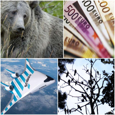 Faze tari, Foto: Hotnews