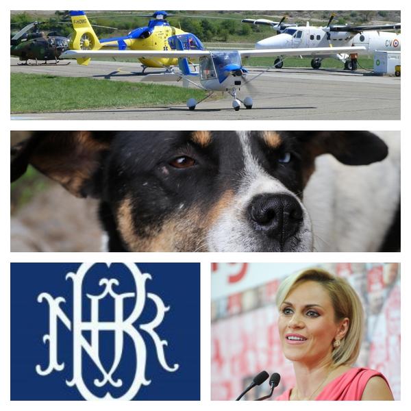 Colaj foto, Foto: Colaj foto