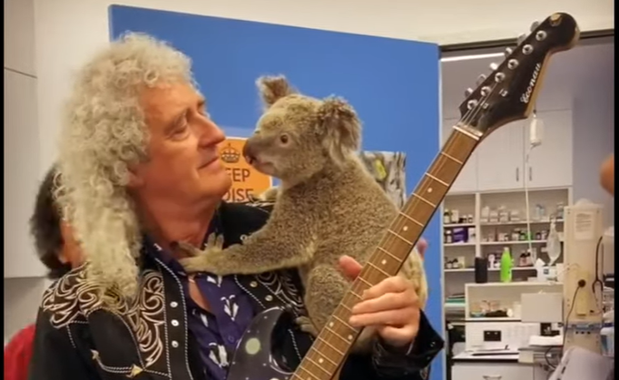 Brian May si koala, Foto: Captura YouTube