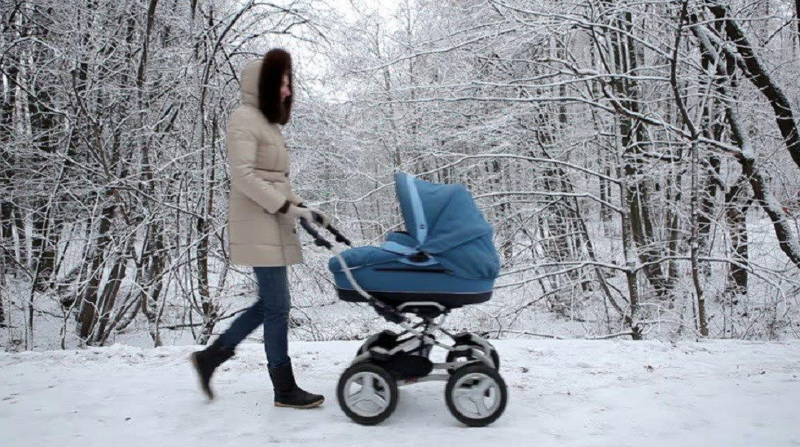 Carucior de la Nichiduta, Foto: Nichiduta.ro