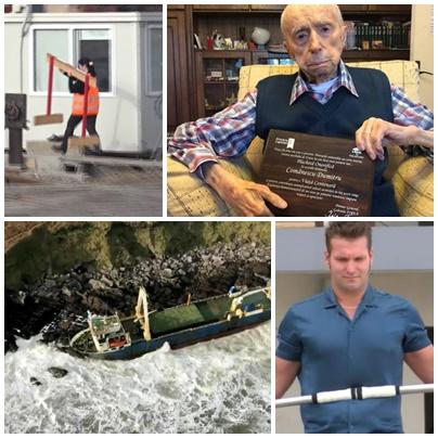 Faze tari, Foto: Colaj foto