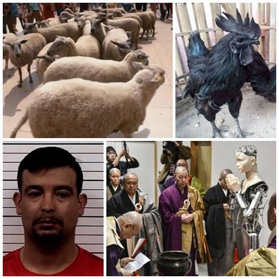 Faze tari, Foto: Colaj foto