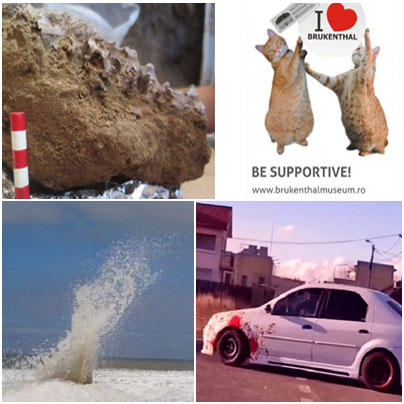 Faze tari, Foto: Hotnews