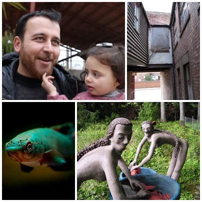 Faze tari, Foto: Colaj foto