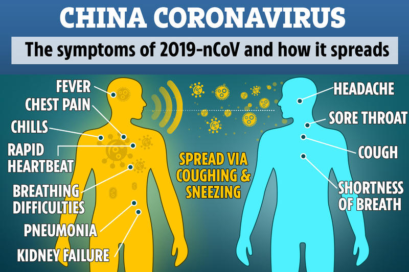 Coronavirus. Schema, Foto: Hotnews