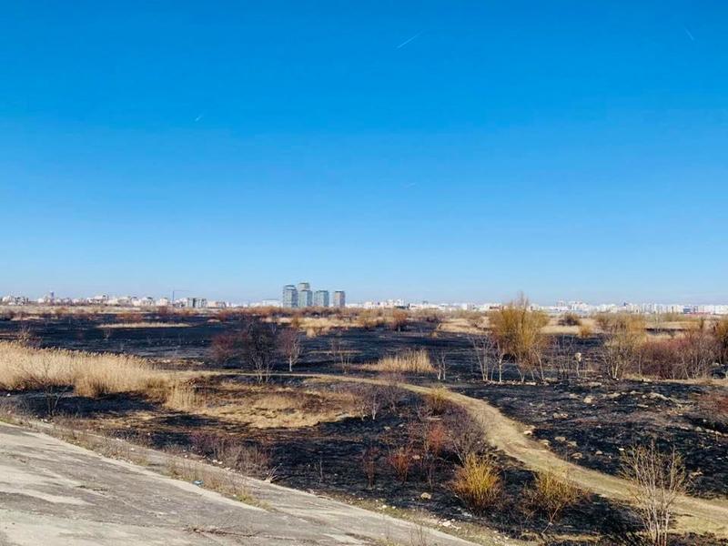 Incendiu Delta Vacaresti - februarie 2020 - 3, Foto: ASPA Bucuresti Facebook