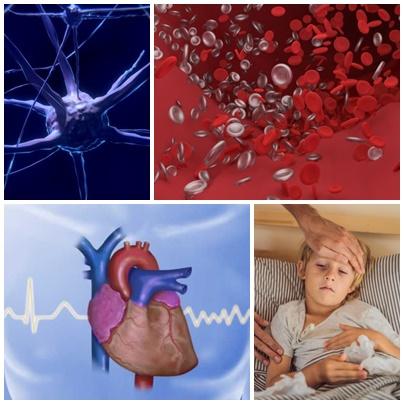 Utile, Foto: Colaj foto