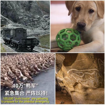 Faze tari, Foto: Hotnews