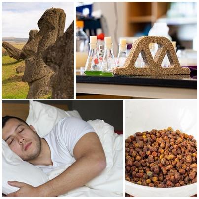 Utile, Foto: Colaj foto