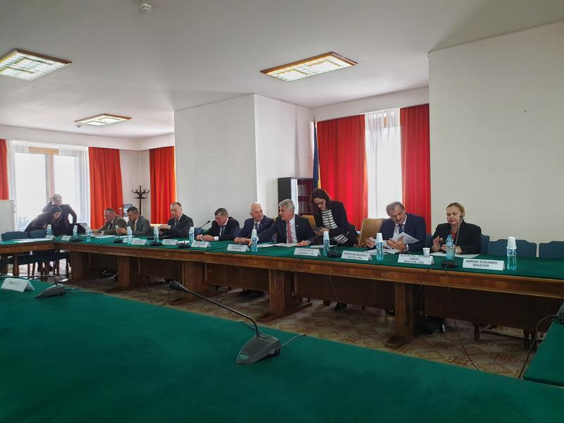 Dezbaterea de la Comisiile reunite fara Florin Citu, Foto: Hotnews