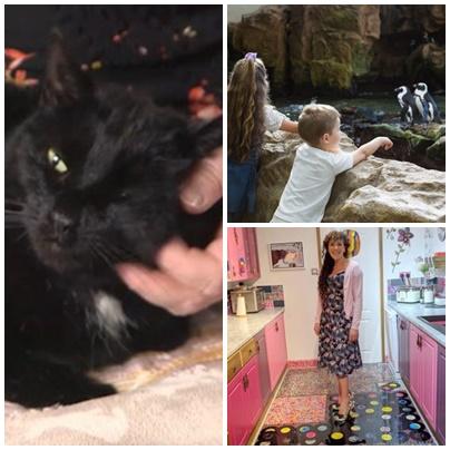 Faze tari, Foto: Colaj foto