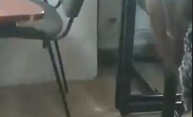 sobolan liceu, Foto: Captura video