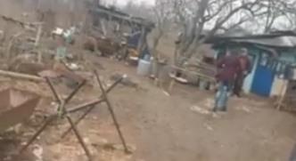 curte, Foto: Captura video