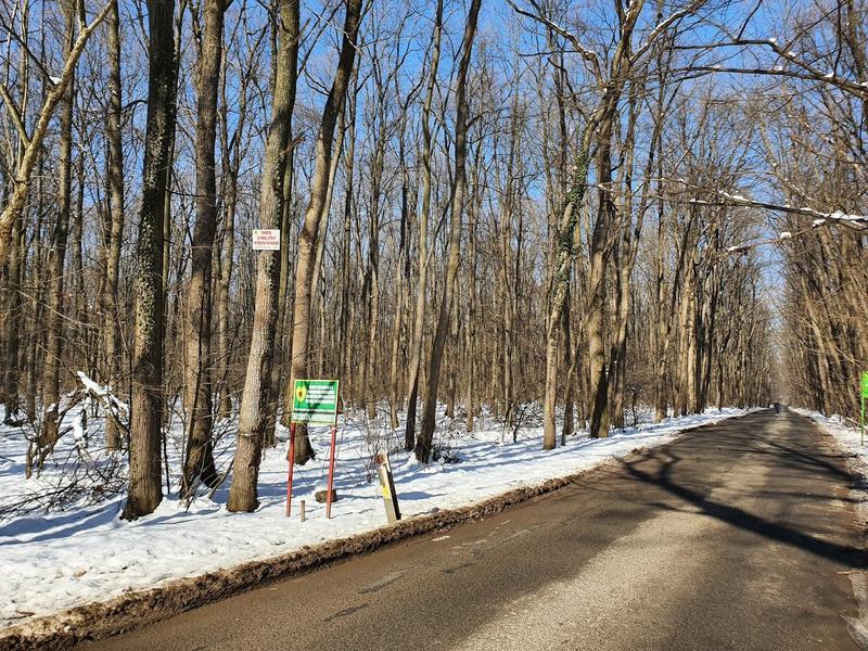 Teren retrocedat Padurea Baneasa 1, Foto: Hotnews