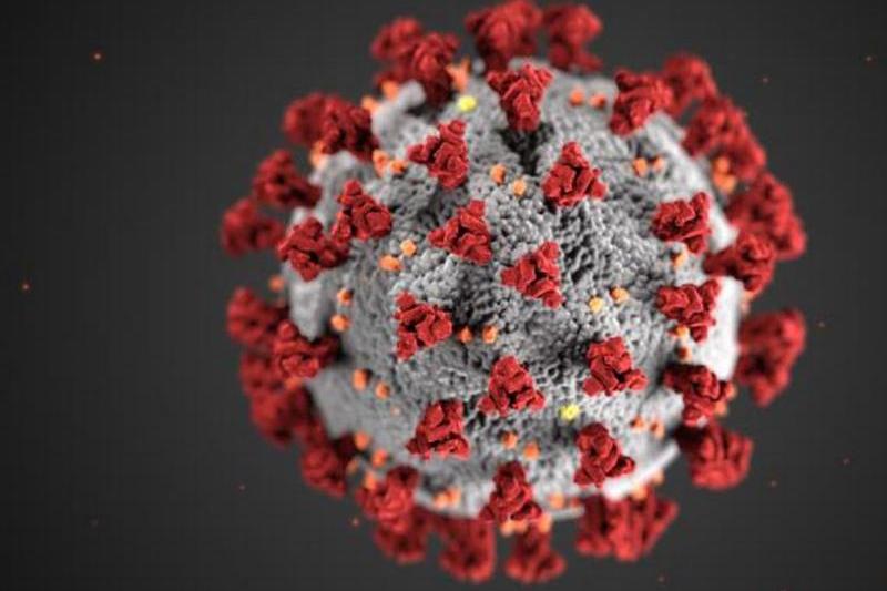 Coronavirus, Foto: defense.gov