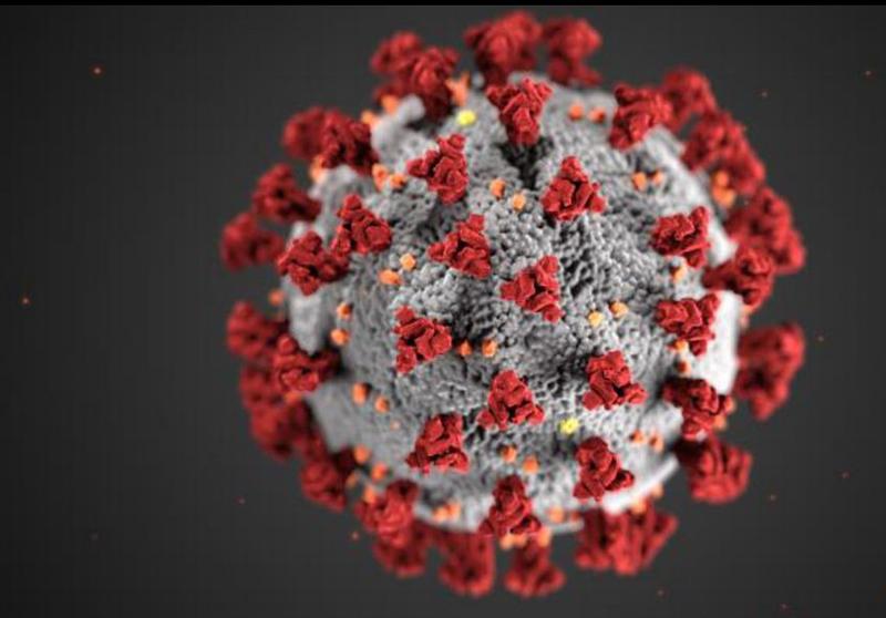 Coronavirus, Foto: defense.gov