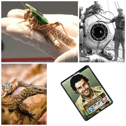 Faze tari, Foto: Colaj foto