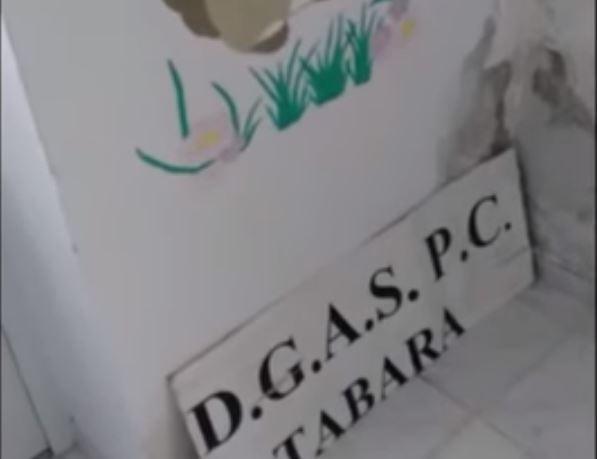 Centrul Padurea Neagra, Foto: Captura YouTube