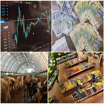 Business report, Foto: Hotnews