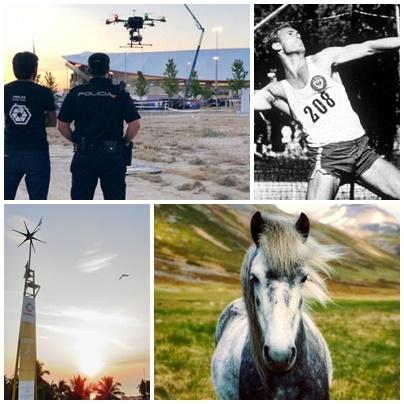 Faze tari, Foto: Colaj foto