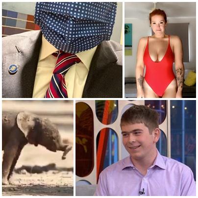 Faze tari, Foto: Colaj foto