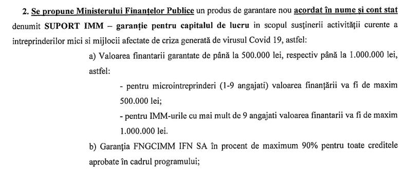 Propuneri pentru ajutorarea mediului de afaceri, Foto: FNGCIMM