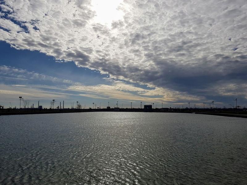 Lacul din parcul munipal Vest Ploiesti, Foto: Vlad Barza / HotNews.ro