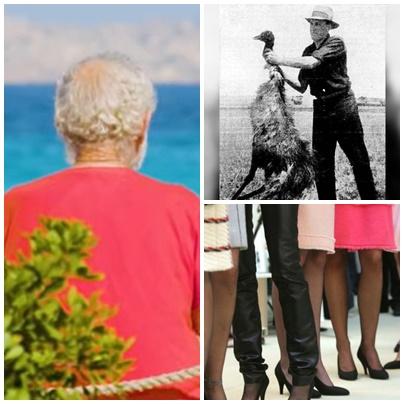 faze tari, Foto: Colaj foto