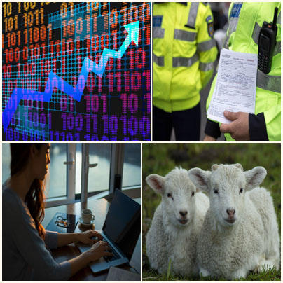 Business report, Foto: Hotnews